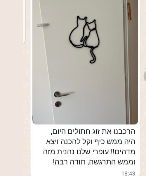אלעד, נס ציונה